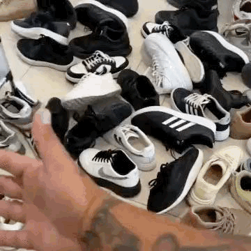 ZAPATERA ORGANIZADORA DE 4 NIVELES CON TAPA – ESPACIO Y ORDEN | ENVÍO GRATIS 🇬🇹