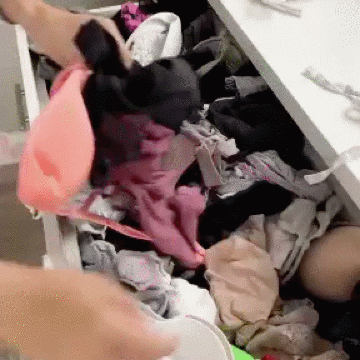 ORGANIZADOR DE ROPA INTERIOR Y CALCETINES (24 CELDAS) | ENVÍO GRATIS 🇬🇹