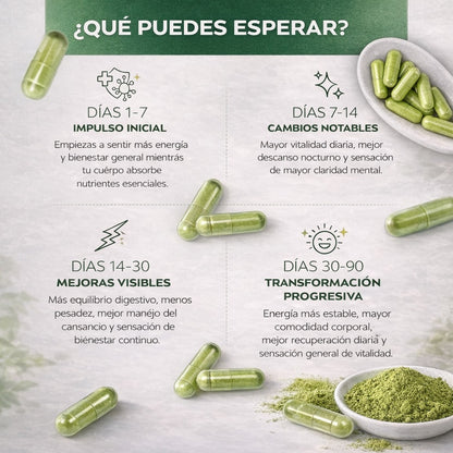 MORINGA AMERICAN NATURAL – BIENESTAR Y SALUD INTEGRAL- ENVÍO GRATIS 🇬🇹